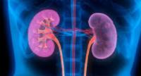 Five Sri Lankans Die Daily from Kidney Disease